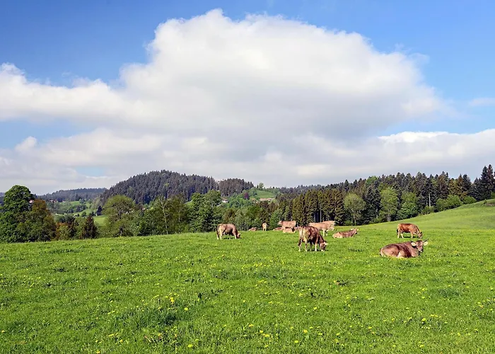 Ferienapartment Allgaeutraeumchen - Modernes Im Allgaeu Mit Aussensitzplatz דירה